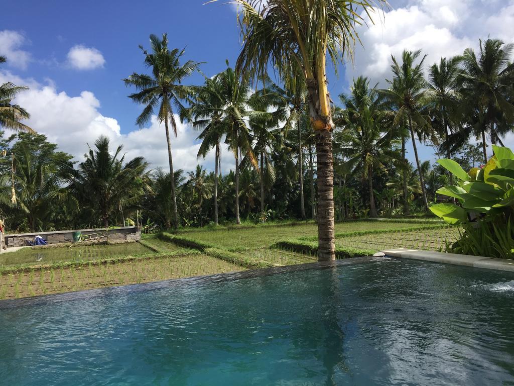 The Suris Ubud エクステリア 写真