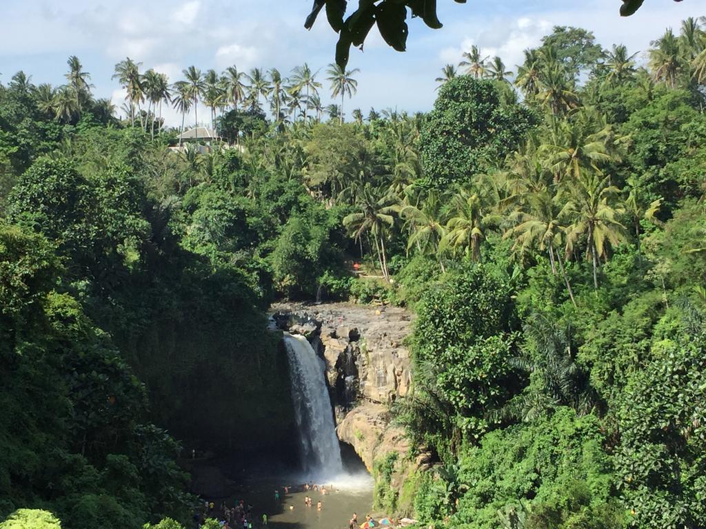 The Suris Ubud エクステリア 写真