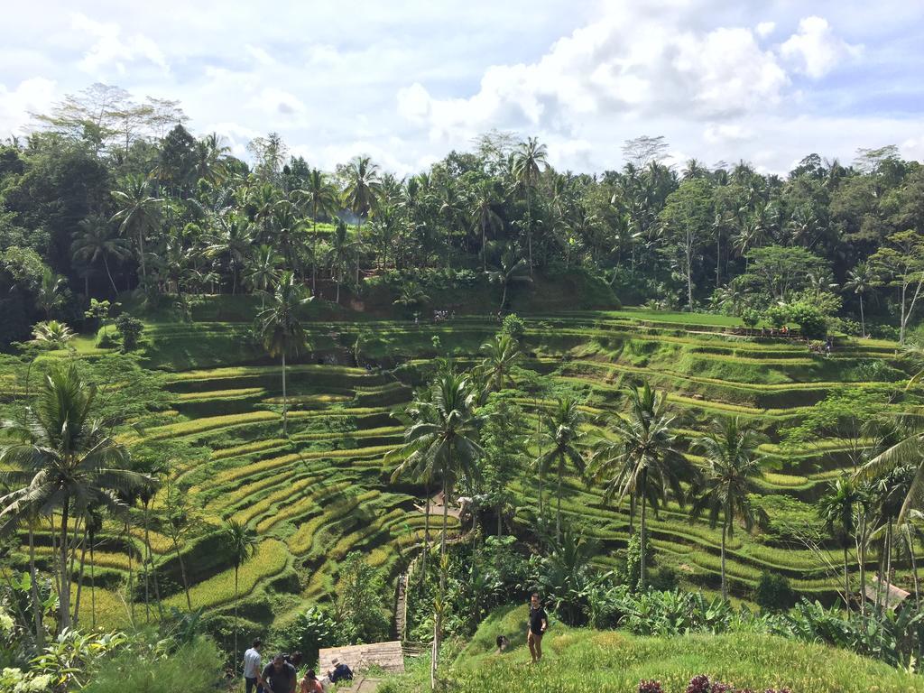 The Suris Ubud エクステリア 写真