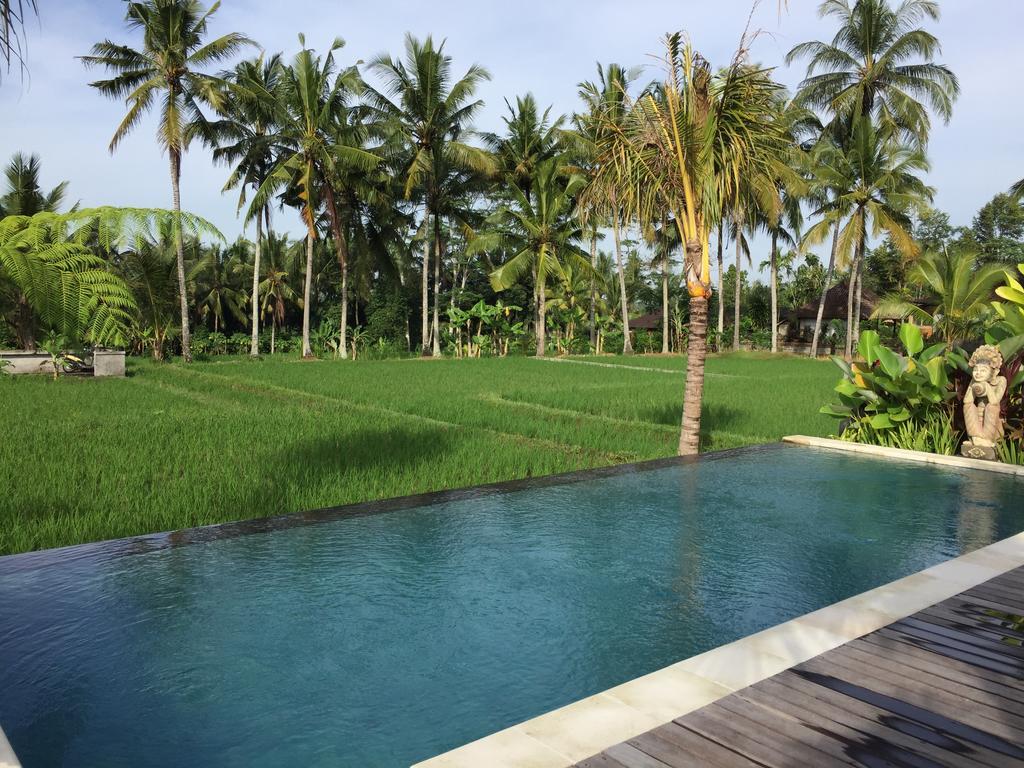 The Suris Ubud エクステリア 写真