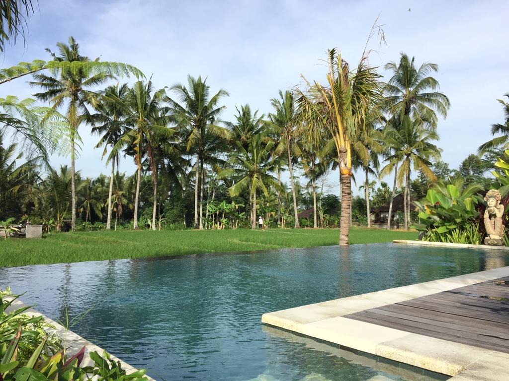 The Suris Ubud エクステリア 写真
